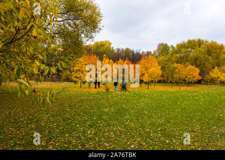 Malerischer Blick auf den Stadtpark mit bunten Herbstfarben in der Innenstadt von Minsk, Weißrussland Stockfoto