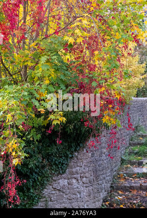 Eine Steintreppe führt zu dem Fluss Brue in der Nähe von packesel Brücke im Bruton, Somerset UK, fotografiert im Herbst Blätter an den Bäumen die Farbe ändern. Stockfoto