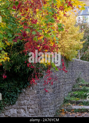 Eine Steintreppe führt zu dem Fluss Brue in der Nähe von packesel Brücke im Bruton, Somerset UK, fotografiert im Herbst Blätter an den Bäumen die Farbe ändern. Stockfoto