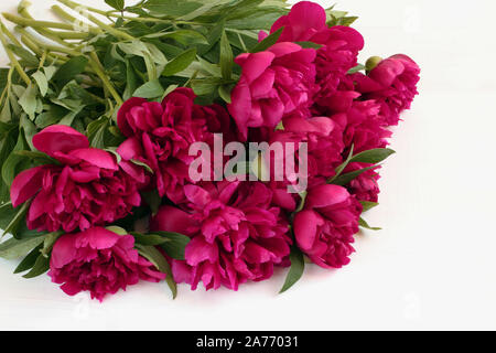 Blumenstrauß aus magenta Pfingstrosen liegen auf weiße Holztisch. Nahaufnahme Stockfoto