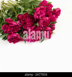 Blumenstrauß aus magenta Pfingstrosen liegen auf weiße Holztisch. Nahaufnahme Stockfoto