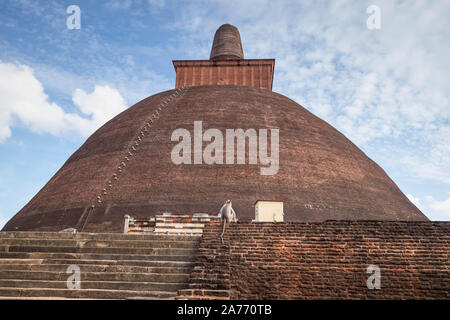 Polonnaruwa/Sri Lanka - 07 AUGUST 2019: Jetavana Dagoba ist einer der zentralen Orte im heiligen Welt Erbe der Stadt Anuradhapura, Sri Lanka, Stockfoto