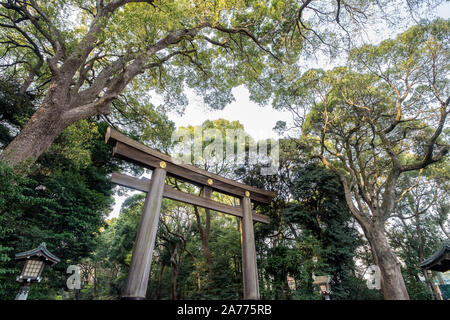 Torii in Yoyogi Park Stockfoto