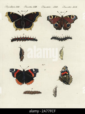 Trauer Mantel, Nymphalis antiopa 1, Europäische Peacock, Inachis io2 und Red Admiral Vanessa atalanta 3, Schmetterling, Raupe und Puppe. Papierkörbe Kupferstich von Johann Friedrich Bertuch's Bilderbuch pelz Kinder (Bilderbuch für Kinder), Weimar, 1802. Stockfoto