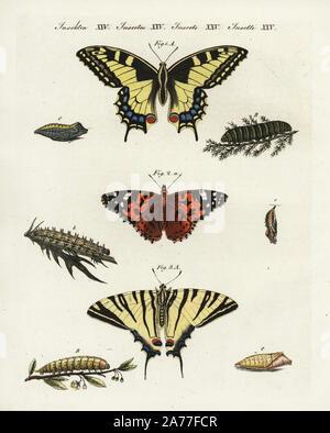 Alte Welt Schwalbenschwanz, Zygaena Filipendulae 1, Painted Lady, Vanessa cardui 2 und segelfalter Iphiclides, Art 3, Schmetterling, Raupe und Puppe. Papierkörbe Kupferstich von Johann Friedrich Bertuch's Bilderbuch pelz Kinder (Bilderbuch für Kinder), Weimar, 1802. Stockfoto