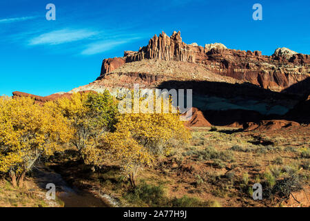 Herbst im Capitol Reef National Park in der Nähe von Torrey, Utah Stockfoto