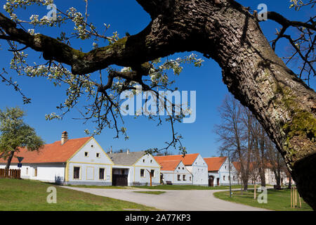Vesnice Holasovice (UNESCO), selske baroko 19. stol., Jizni Cechy, Ceska Republika/Holasovice Dorf (UNESCO), Südböhmen, Tschechische Republik Stockfoto