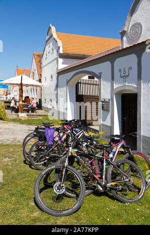 Vesnice Holasovice (UNESCO), selske baroko 19. stol., Jizni Cechy, Ceska Republika/Holasovice Dorf (UNESCO), Südböhmen, Tschechische Republik Stockfoto