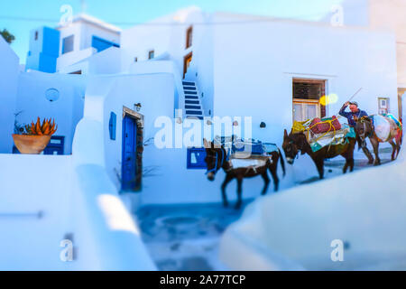 Esel und Blick auf die Straße. Pyrgos Village. Santorini. Kykladen Inseln. Griechenland. Stockfoto