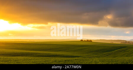 Hazy ländlichen Abend Landschaft mit goldenem Licht und grauen Hügeln im Hintergrund und Feld mit frischem Grün im Vordergrund Stockfoto