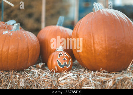 Halloween Kürbis Dekorationen im Freien vor dem Haus Hof, Halloween Tradition Konzept. Stockfoto