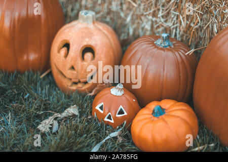 Halloween Kürbis Dekorationen im Freien vor dem Haus Hof, Halloween Tradition Konzept. Stockfoto