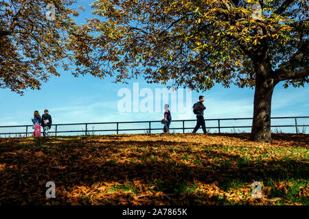 Menschen, die im warmen Herbst im Stadtpark spazieren, unter Rosskastanie spazieren gehen Herbstfarben hinterlassen schönes Wetter herbstliche Bäume an einem sonnigen Tag beim Bummeln Stockfoto