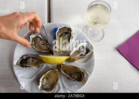 Austern mit Zitrone und Glas weiß gewinnen, auf weißer Teller serviert, zum Essen bereit. Austern aus der Region Bordeaux. Stockfoto