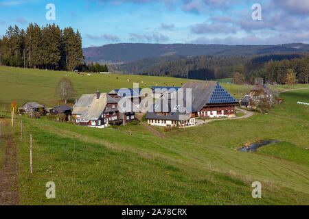 Oberfallengrundhof, Schwarzwaldhaus, in der Nähe von Gütenbach, Schwarzwald, Baden-Württemberg, Deutschland Stockfoto