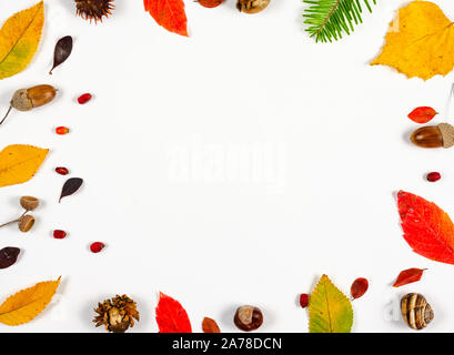 Herbst Zusammensetzung indoor auf weißem Hintergrund Rahmen verschiedener Blätter und Samen mit Center kopieren Platz für Text. Ansicht von oben, flach. Stockfoto