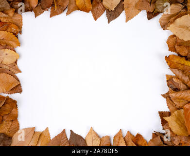 Herbst Zusammensetzung Hintergrund. Quadrat Rahmen aus trockenen Rost Blätter mit einem leeren Platz für Text. Ansicht von oben, flach, kopieren. Stockfoto