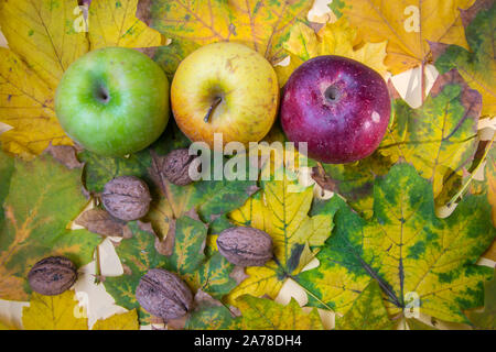 Herbst noch leben, drei bunten Äpfel, Walnüsse und schöne gelbe Blätter der Ansicht von oben, flach Stockfoto