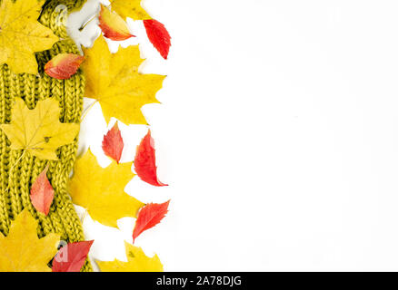 Herbst Zusammensetzung Hintergrund. Vertikale gelbe und rote Blätter Zeile auf isolierten weißen Hintergrund. Ansicht von oben, kopieren. Stockfoto
