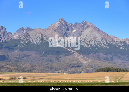 Die Lomnitzer Spitze in der Hohen Tatra aus einem Feld gesehen Stockfoto