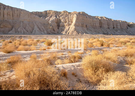 Blick auf sandigen Berge und ein Tal mit trockener Vegetation und Rissige Erde in der Judäischen Wüste. Israel Stockfoto