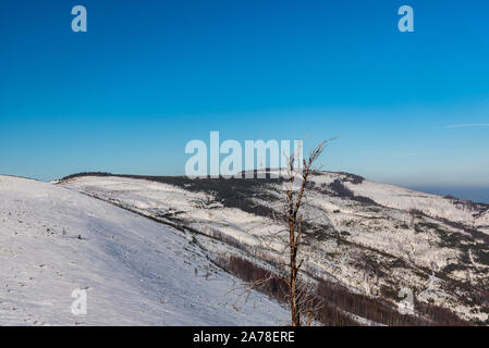 Skrzyczne Hügel mit Kommunikation Turm aus Felsbrocken auf Malinowska Skala Hill in Beskid Slaski bergen in Polen während des schönen Wintertag Stockfoto
