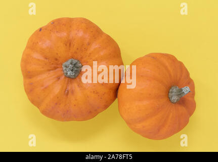 Zwei Kürbisse vor einem gelben Hintergrund isoliert Stockfoto