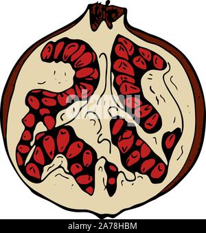Handdrawn Abbildung mit Frucht Granatapfel, Vektor, Abbildung Stock Vektor