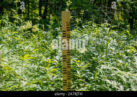 Eine gelbe Markierung post, teilweise mit Brennnessel Vegetation überwuchert. Stockfoto