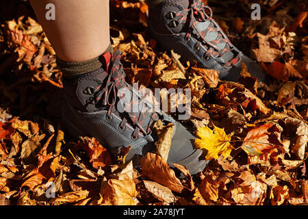 Weibliche Füße in Wanderschuhen stehen in großen Haufen Gefallene Blätter in herbstlichen Farben Stockfoto