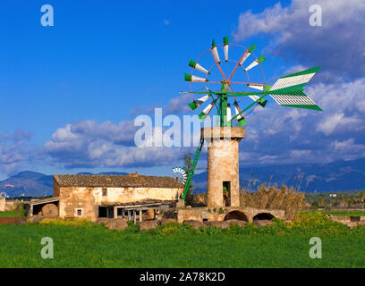 Windmühle, Wasser heben Mühle bei Sant Jordi, Mallorca, Balearen, Spanien Stockfoto