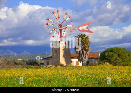 Windmühle, Wasser heben Mühle bei Sant Jordi, Mallorca, Balearen, Spanien Stockfoto