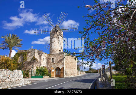 Windmühle bei Sineu, Mallorca, Balearen, Spanien Stockfoto