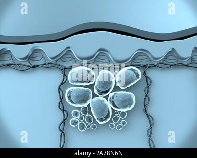 Fettzelle, hochwertige 3D-Render von Fettzellen, Cholesterin in den Zellen Stockfoto