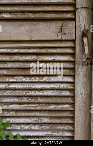 Alte hölzerne Fensterläden mit abblätternder Farbe Stockfoto