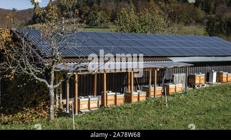 Eine Reihe von Bienenstöcken mit Sonnenkollektoren Overhead in Talheim in Deutschland. Stockfoto