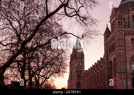 London, UK, 19. März 2018: Äußere des Natural History Museum in London im warmen Abendlicht Stockfoto