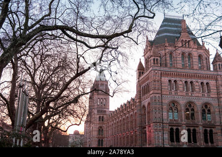 London, UK, 19. März 2018: Äußere des Natural History Museum in London im warmen Abendlicht Stockfoto