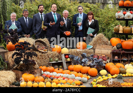 Taoiseach Leo Varadkar (Mitte) mit (von links) Minister für Hochwasserschutz Kevin Moran, Minister für Ernährung und Forstwirtschaft und Gartenbau Andrew Doyle, Ministerin für Wohnungswesen Eoghan Murphy, Minister für Klimaschutz & Umwelt Richard Bruton, Minister für Gesundheit Simon Harris und Minister für Kultur Jospha Madigan, im Herbst Anzeige in die Botanischen Gärten, Dublin, für den Start des ersten Bericht über die Fortschritte im Rahmen des Climate Action Plan 2019. Stockfoto