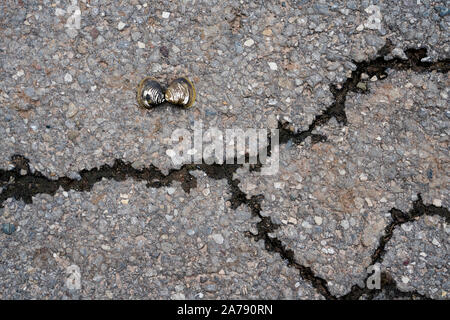 Muscheln, alte Asphalt Stockfoto