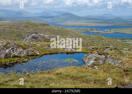 Kleinen Bergsee mit Seerosen in Connemara, County Galway, Irland Stockfoto