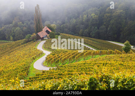 Herbst Landschaft der berühmten slowenischen und österreichischen Herzform Weinstraße zwischen Weinbergen in Slowenien, in der Nähe von Maribor Stockfoto