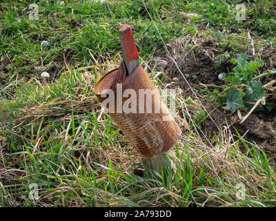 Alte kann auf einem Stick in das Feld Stockfoto