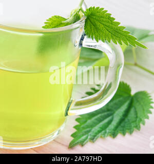 Brennnesseltee in einem Glas Schale Stockfoto