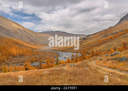 Erstaunlich Herbst Landschaft mit einer Schmutz Rocky Road in die Berge entlang einer kurvigen Fluss und goldene Lärchen gegen einen blauen Himmel mit Wolken. Atay, Ru Stockfoto