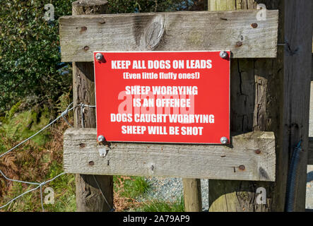 Nahaufnahme von Hunde Hund auf Blei Warnschild Zeichen England UK Vereinigtes Königreich GB Großbritannien Stockfoto