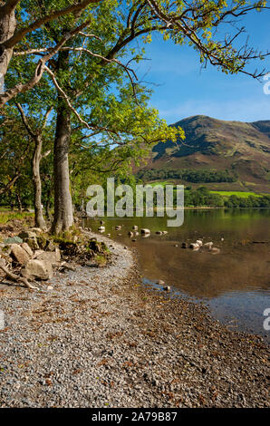 Blick entlang des Seeufers in Richtung High Snockrigg im Sommer Buttermere Lake District National Park Cumbria England Großbritannien GB Großbritannien Stockfoto