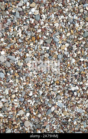 Hintergrund aus vielen kleinen glatten Kieselsteinen auf dem Meer Strand an einem sonnigen Tag Top View close-up Stockfoto