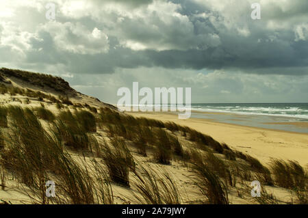 Sanddüne und einsamen Strand unter stürmischen Himmel an einem windigen Tag südlich von Lacanau-Océan, Atlantikküste, Frankreich. Stockfoto