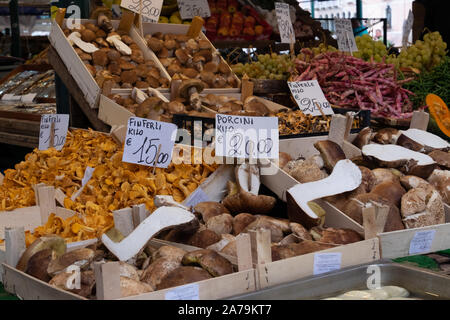 Die hellen und farbenfrohen Anzeige der Pilze für den Verkauf auf einem Marktstand in Venedig. Stockfoto